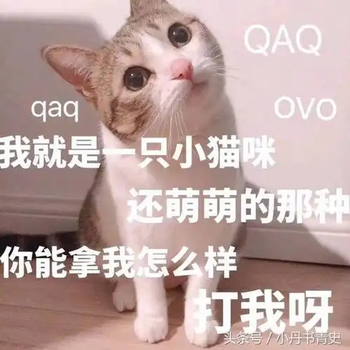 开心一刻,呆萌的动物表情包