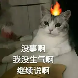 女网友哭诉养了猫我就后悔了,这养的哪是猫明明就是情敌啊