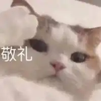 敬礼表情包可爱