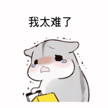 震惊了,铜仁这家装修公司的老板疯了,装修返现还送分红