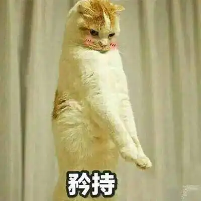 组里有木有医生