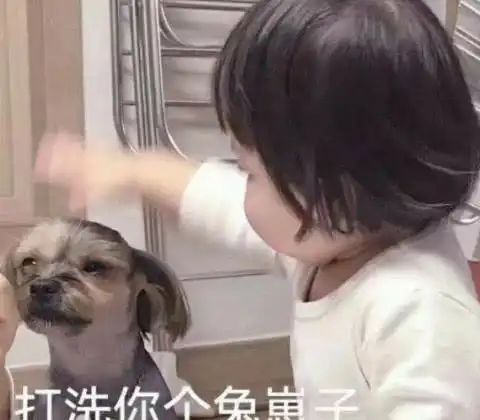 萌宠萌娃表情包太冷不想打字,你懂我意思吧