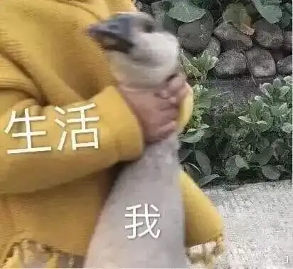 云南各地最新工资房价曝光你被平均了吗
