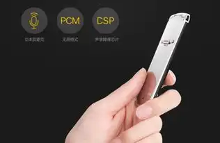 高清无损音质爱国者录音笔r5530智能高颜值