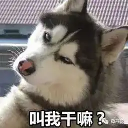 哈哈哈爸爸姓哈,孩子取啥名