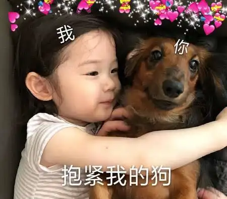 最近流行的技术撩人表情这位小姐,论喜欢你我可是天下第一