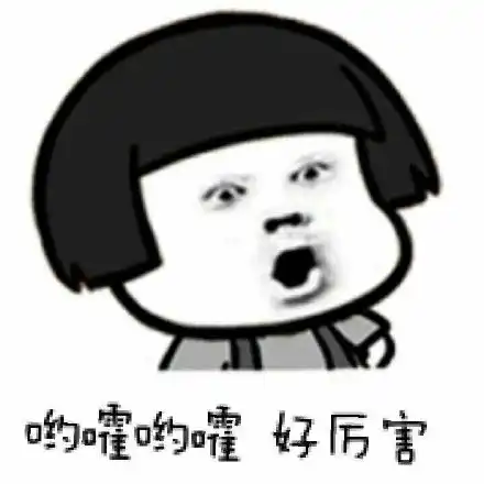 欧洲杯2024年