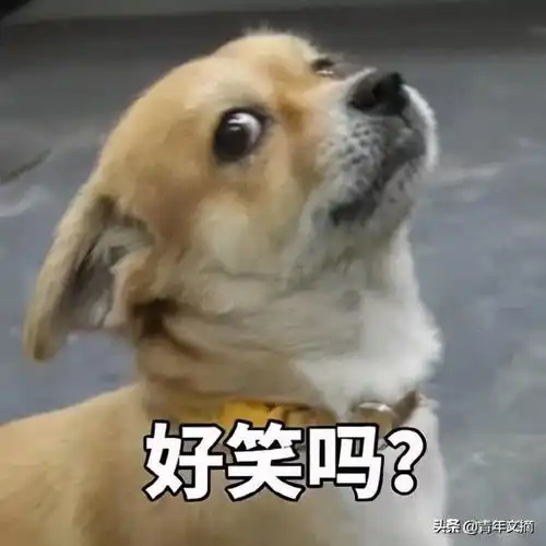 开心一刻一个人要不正经,连头疼都是偏的