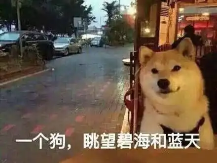 沙雕表情包拿图片为什么要谈恋爱呢