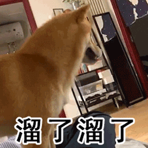 沙雕表情包外面比想象中冷