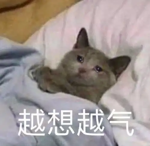 浙江台又引起众怒强拉张靓颖给小鲜肉当背景板,吃相太难看被女方当众手撕