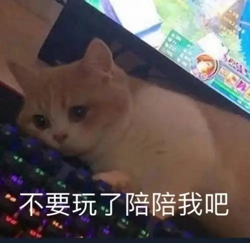 沙雕表情包那个可爱的我不见了,取而代之的是更可爱的我