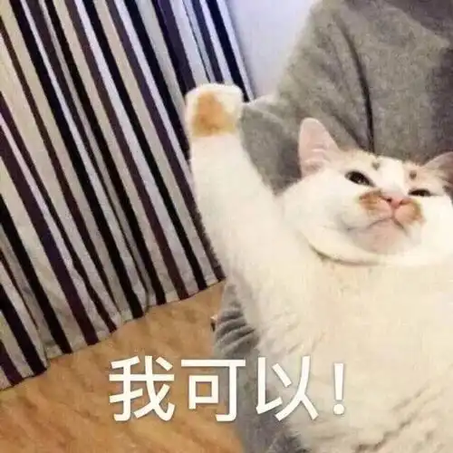 表情包求原谅,我再也不惹你生气了