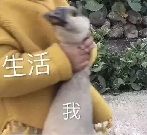 一个妈妈的2018年终总结,第一条就扎心了