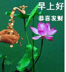 拜拜了您嘞老年人表情包动图图片拜拜了您内表情包下载乐游网游戏下载