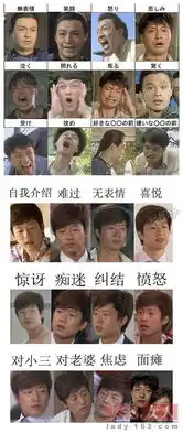 杨幂申世京霍建华刘亦菲只会一个表情的面瘫明星