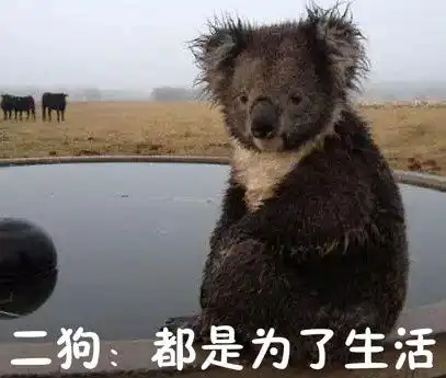 本楼收集怕黑的哥特专属表情包,欢迎大家踊跃投稿