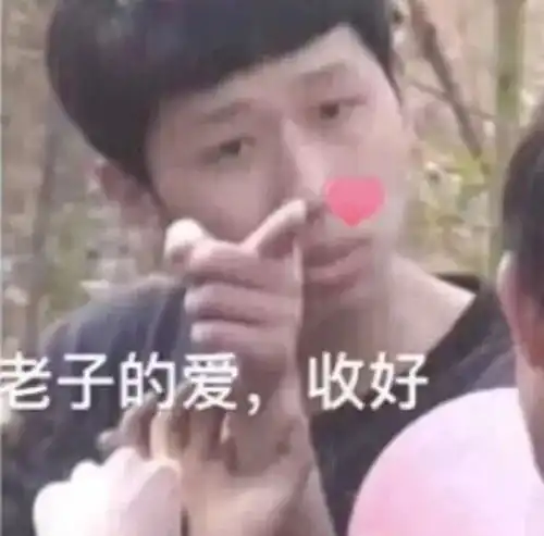 表情包你是老子的女人
