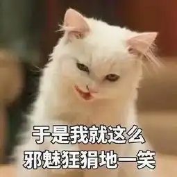 猫咪表情包我懂了,我就是你可有可无的网友