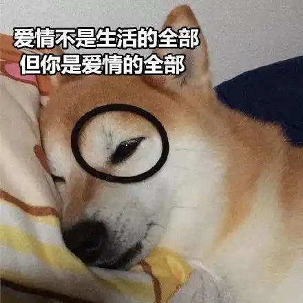 一波超级实用的表情快来收吧