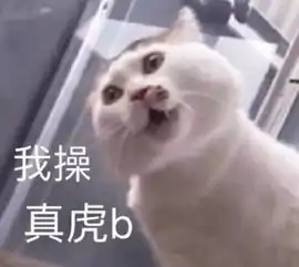 今日份无水印沙雕表情包了解一下