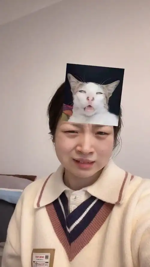 怎么回事,我怎么变表情,都摆脱不了这只猫这个超好笑的声优表情fpy