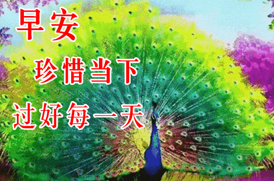 10月30日最漂亮早上好动态表情图片大全,早晨好动图美图大全