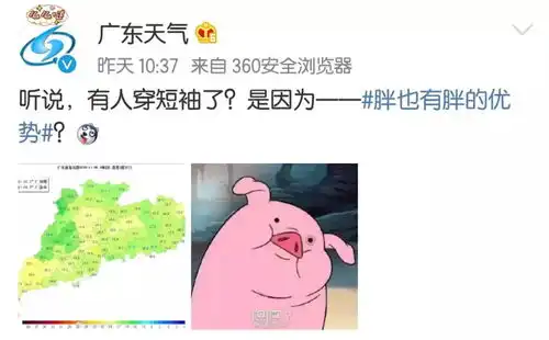 找个胖胖的女生做女朋友吧,因为她们可爱到爆炸哈哈哈太萌了