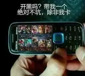 玩游戏不能怪队友,可能你永远想不到队友在用什么和你一起开黑