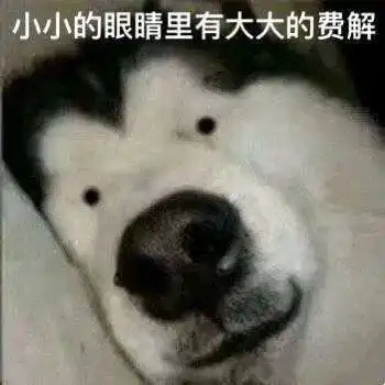 交女朋友就像养猪男生有女朋友之后才知道的6件事