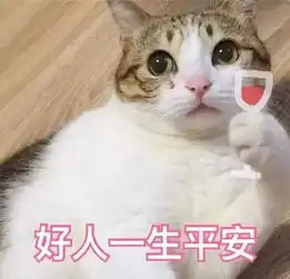 全新猫咪表情包,快快收藏
