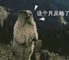 记者节,最强最全表情包来了