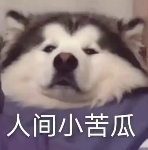 找一本穿越耽美循环小说