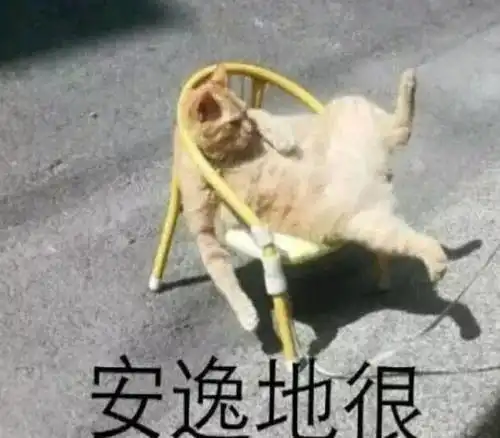 学费80万却只能云留学,疫情下留学生的苦与乐