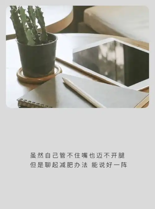 头像给我一个深入你的机会好吗请不要不识抬举