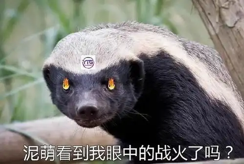 王者荣耀西部乱不乱,平头哥说了算,ytg对西部的影响大吗