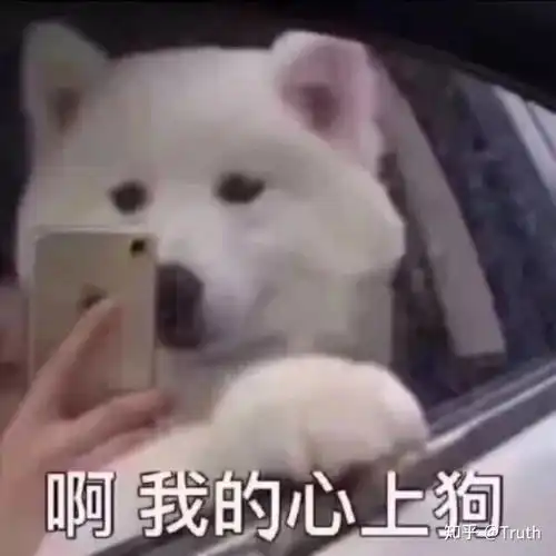 与僵尸小哥哥的恋爱史之我把密室的npc小哥哥变成了自己的男朋友