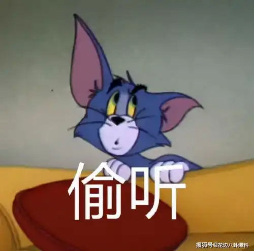 五环哥的故事师傅带五环哥去参加开幕仪式,是想捧小辫哥上位