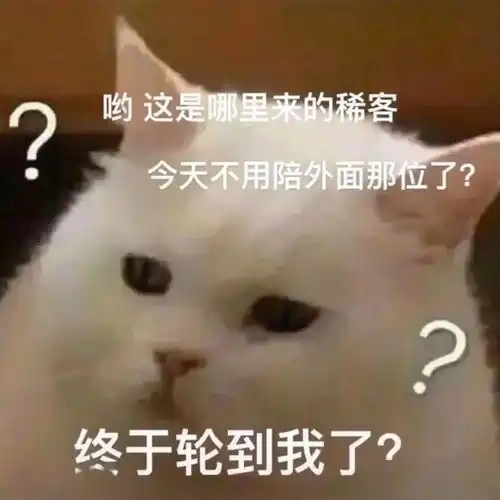 沙雕表情终于轮到我了