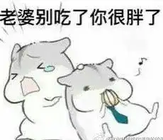 粉红鼠qq表情包