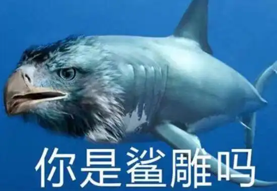 在寒假里,大学生们的专业,究竟能被亲戚做出多少种误读