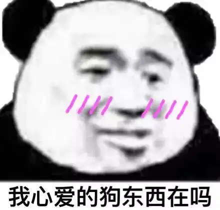 猪年拜年搞笑表情包
