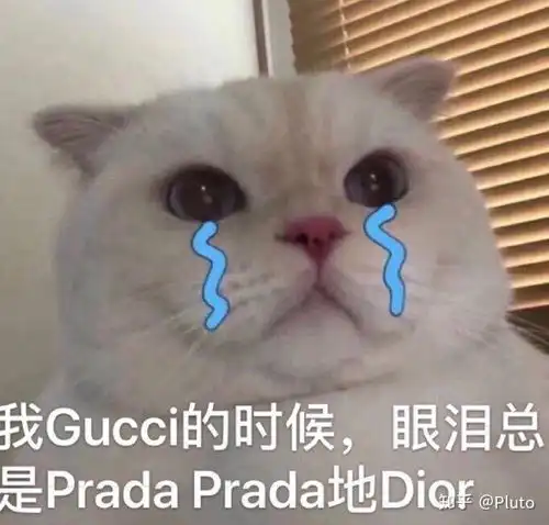 如何回复取次花丛懒回顾,半缘修道半缘君呢