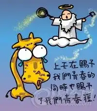 易车