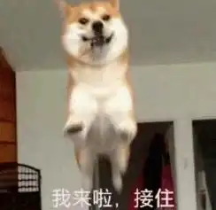 我知道,你一定会来