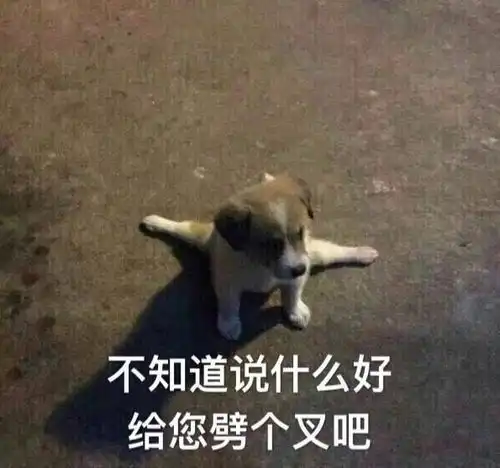 轻松一刻看仔细,现在外国流行这样炫富