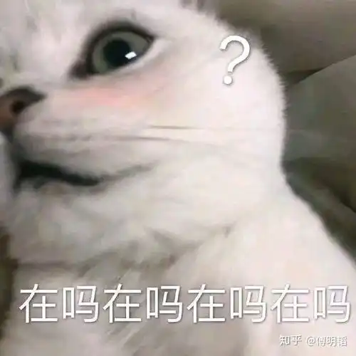 有那些沙雕可爱的表情包
