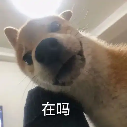 醒醒你不可能变成王思聪,但你可以拥有他的表情包