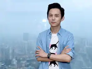 何炅我为什么心疼这个43岁的老男人