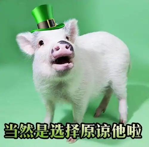 猪猪表情包来啦,来收图,把你猪手慢慢交给我,放下心中的困惑